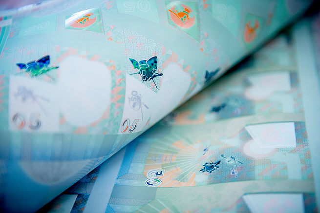 Foto 1: Laika sheet