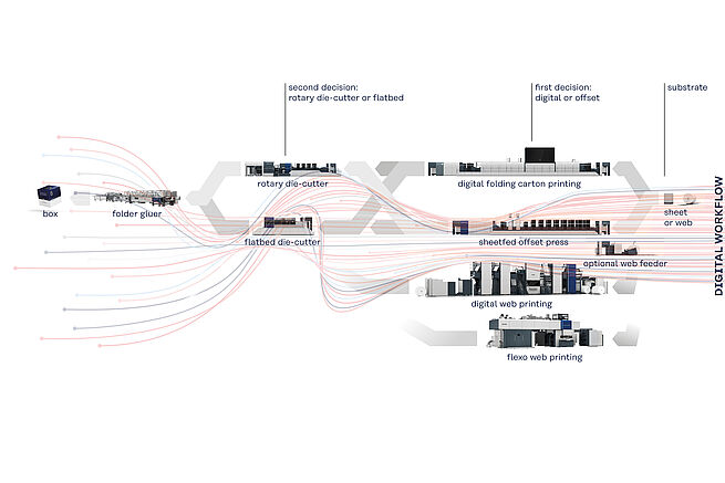 Photo 3: Packaging Workflow