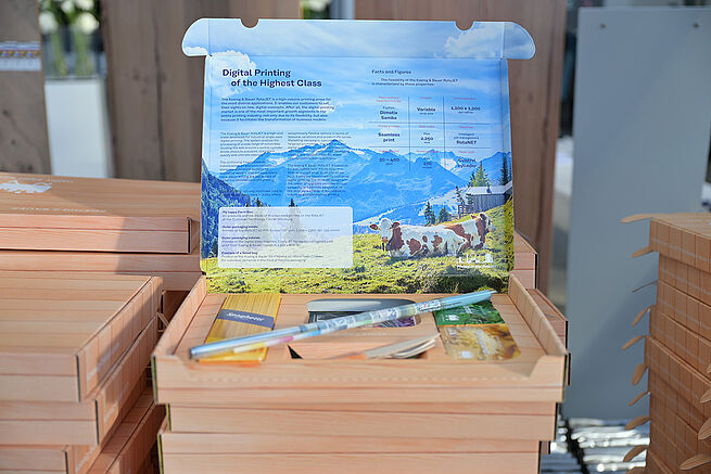 Photo 3: "Happy Farm Box"